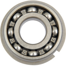 Counterbalance Shaft Bearing
