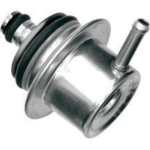 Electronic Fuel-injection Regulator