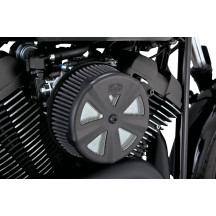 Air Cleaner Cover — Skullcap Crown
