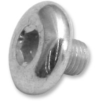 Replacement Air Cleaner Screw — 0.79 mm (0.031 in), P/N 17-0346