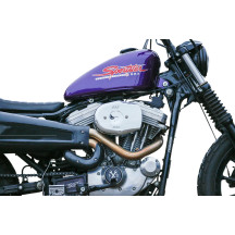 Cubierta del Filtro de Aire Stealth