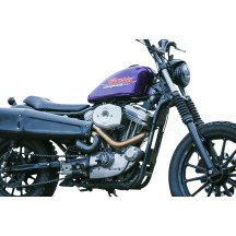 Cubierta del Filtro de Aire Stealth