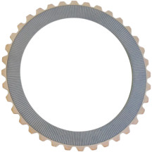 Rivera Pro Replacement Clutch Plate