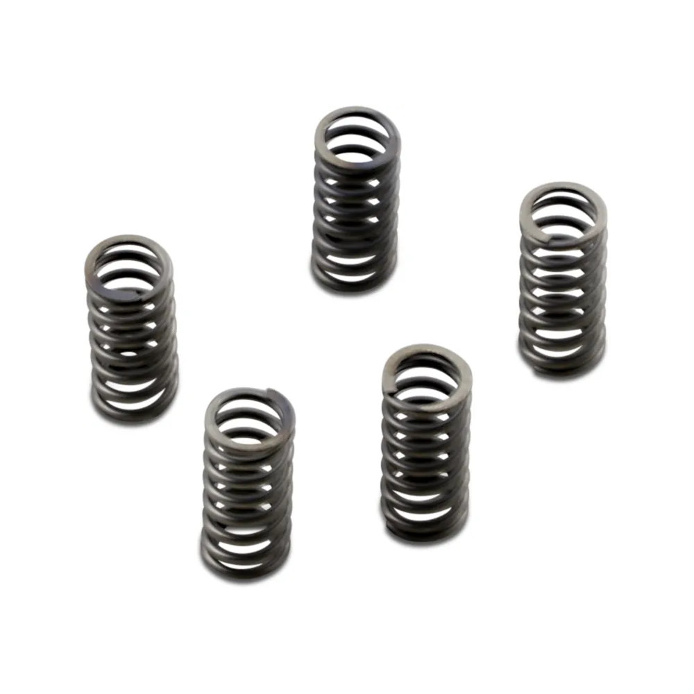 CSK Series Heavy Duty Clutch Spring Kit