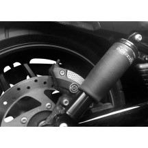 Suspensión de aire ajustable V-Rod