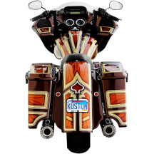 The One Rear Fender