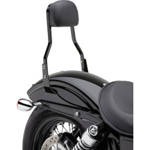 Square Sissy Bar