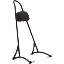 20" Tall Sissy Bar