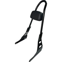 One-Piece Sissy Bar