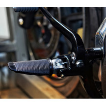 Speedpegs Footpegs