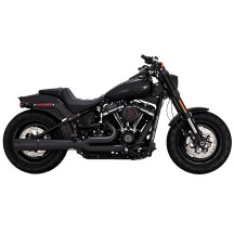 Pro Pipe 2-into-1 Exhaust System