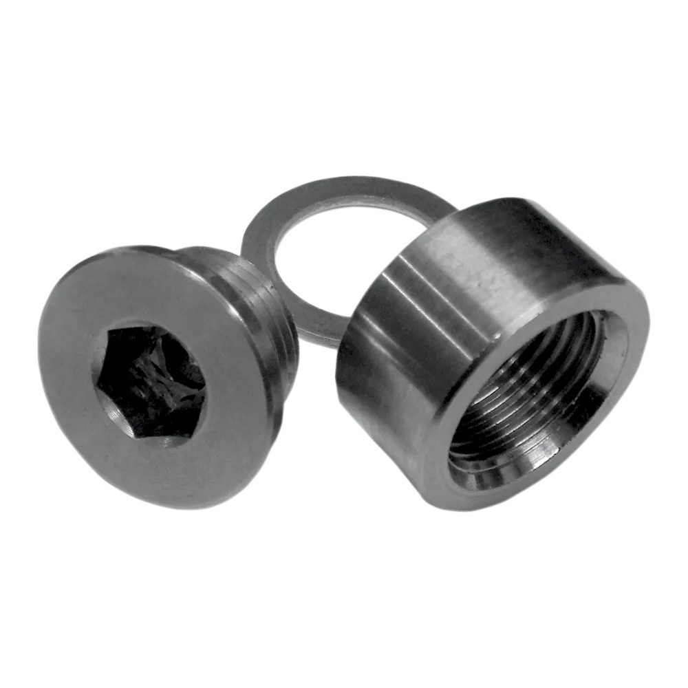 O2 Sensor Bung Kit