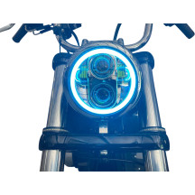 ProGLOW™ LED Headlamp with Color Changing Halo