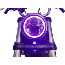 ProGLOW™ LED Headlamp with Color Changing Halo