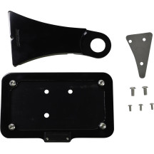 Side Mount License Plate with LED Tag Light