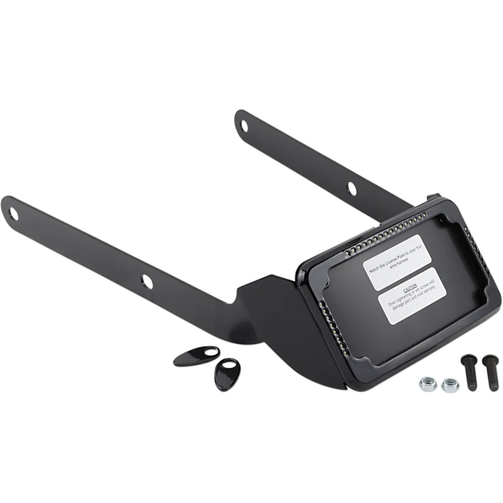 Curved License Plate Frame and Mount with License Plate Light Curved License Plate Frame and Mount with License Plate Light