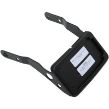 Curved License Plate Frame and Mount with License Plate Light