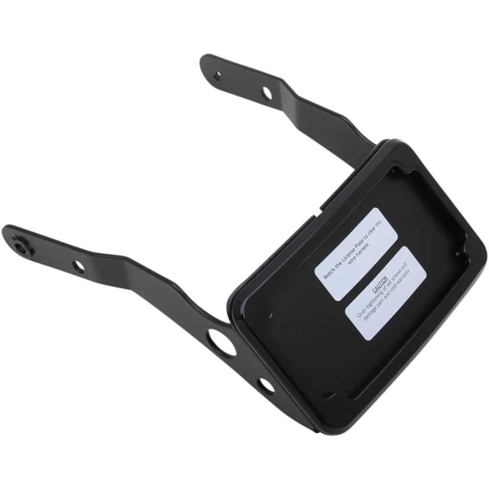 Curved License Plate Frame and Mount with License Plate Light