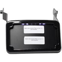 Curved License Plate Frame and Mount with License Plate Light