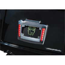 LED License Plate Frame