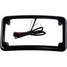 Beveled License Plate with Lights