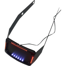 Curved License Plate Frame and Mount with License Plate Light