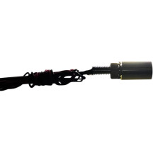 Luces de matrícula Boltz LED — 13 mm (1/2") de diámetro, 17 mm (11/16") de largo, 12V, negro