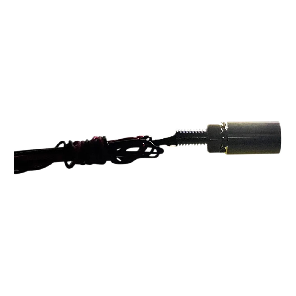Luces de matrícula Boltz LED — 13 mm (1/2") de diámetro, 17 mm (11/16") de largo, 12V, negro