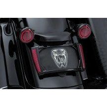 LED Lighted License Plate Frame