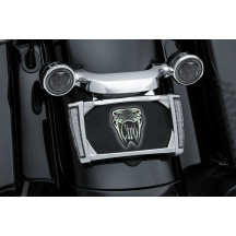 LED Lighted License Plate Frame