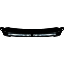 Windshield Trim