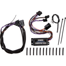 Sequential Module
