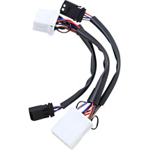 Wiring adapter for Dual Color Plasma Rods
