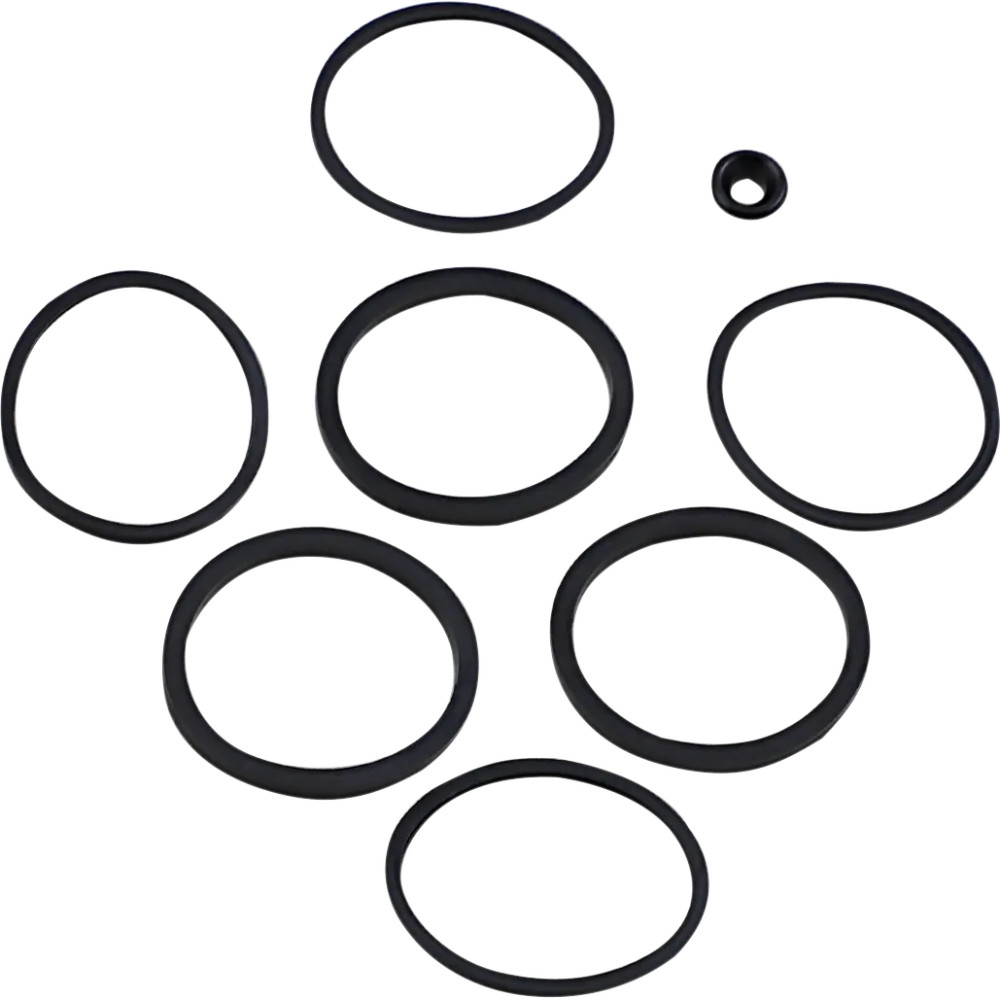Caliper/Piston Seal Kit Caliper/Piston Seal Kit