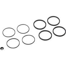 Caliper/Piston Seal Kit