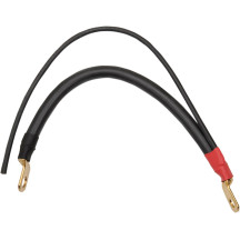 Battery Cable with Auxiliary Wire