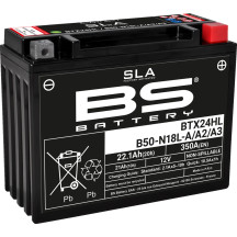 SLA Factory- Activated AGM Maintenance-Free Battery