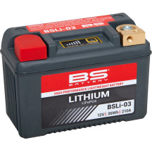 Batería de Litio LiFePO4