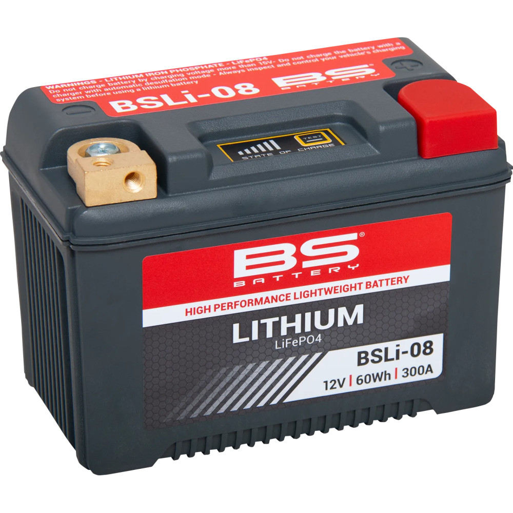 Batería de Litio LiFePO4