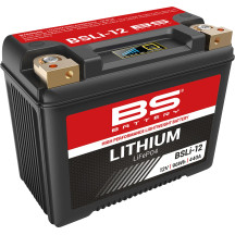 Lithium LiFePO4 Battery