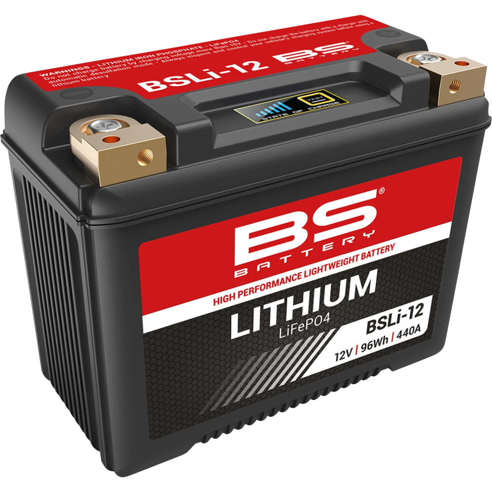 Lithium LiFePO4 Battery Lithium LiFePO4 Battery
