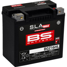 SLA MAX Factory- Activated AGM Maintenance-Free Battery