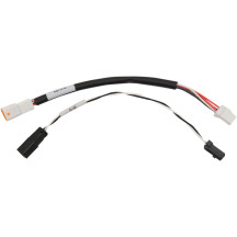 Extensión de Control Electrónico del Acelerador