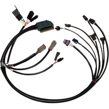 Complete EFI Wiring Harness