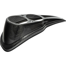 Carbon Fiber Dash Panel