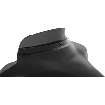 Batwing Spoiler Windshield