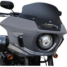 Flare™ Windshield