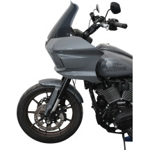 Flare™ Windshield