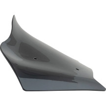 Flare™ Windshield
