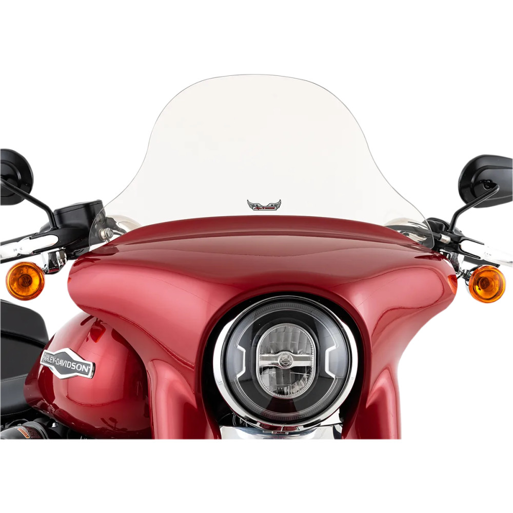 Windshield